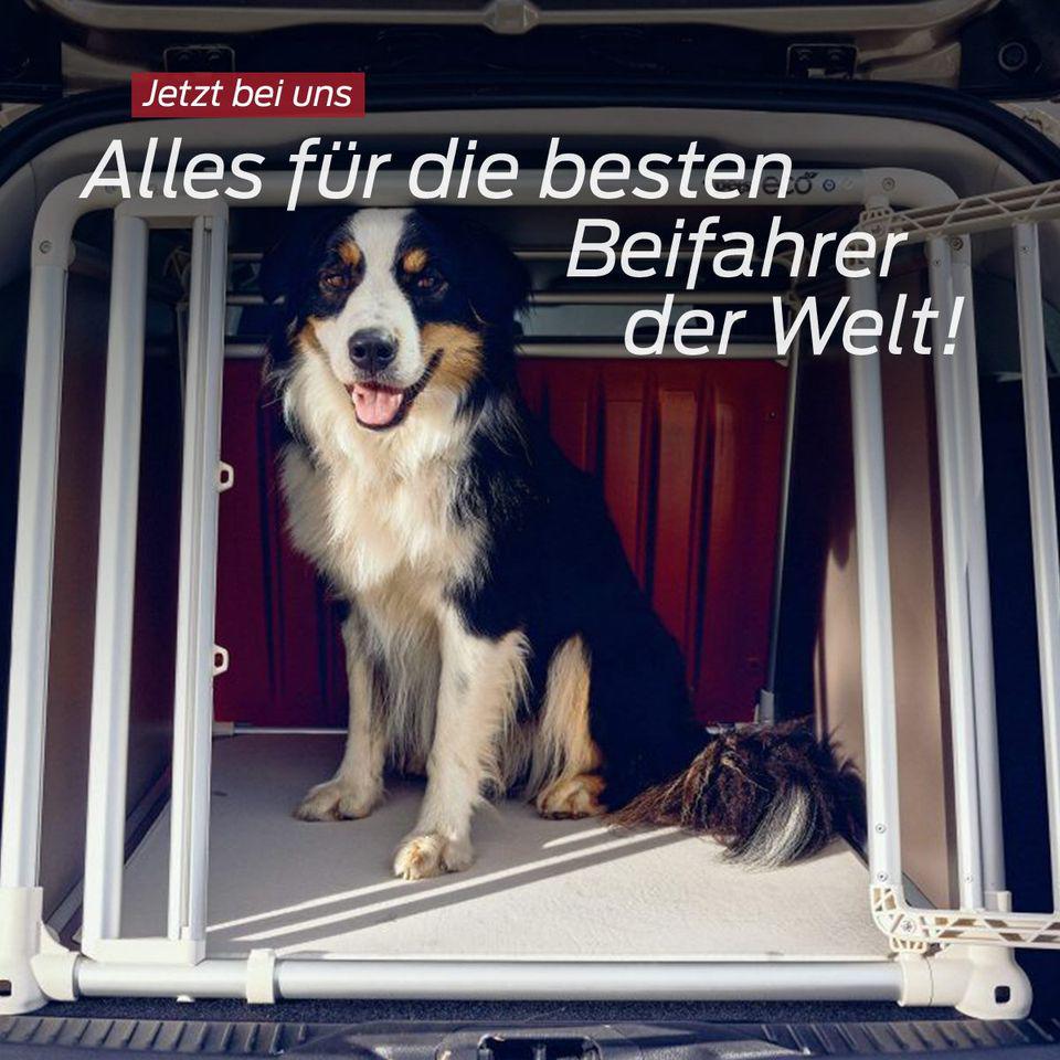 Kundenfoto 3 Auto Vest GmbH & Co KG - Ihr Ford-Partner im Hochtaunus