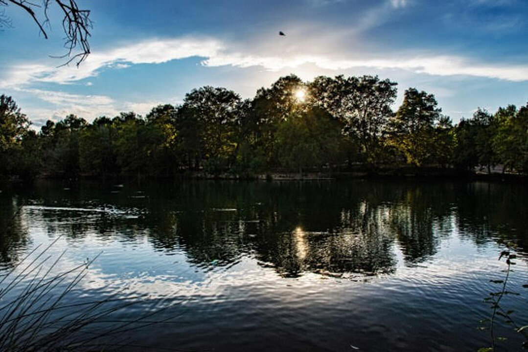 Images CASA Y CABAÑA DEL LAGO