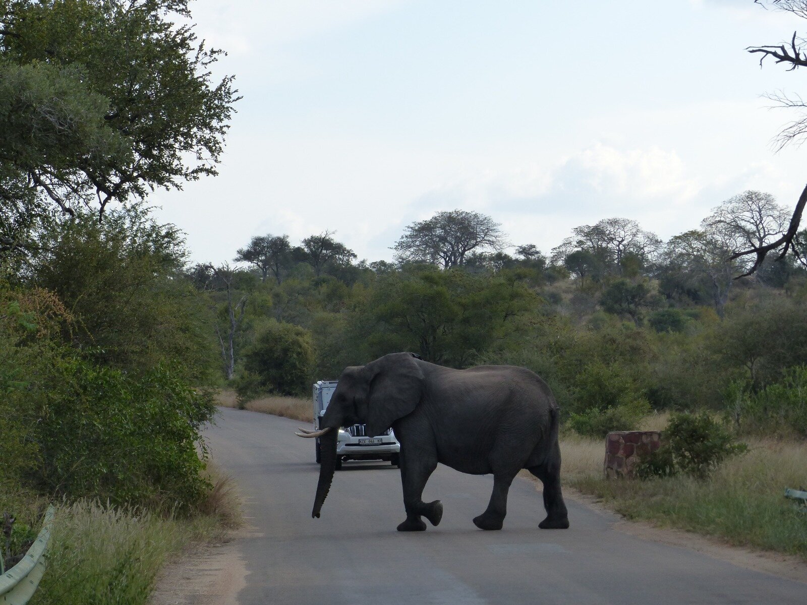 Images Knap Tours