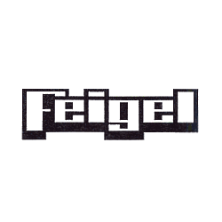 Feigel Umwelt-Service GmbH in Berlin - Logo