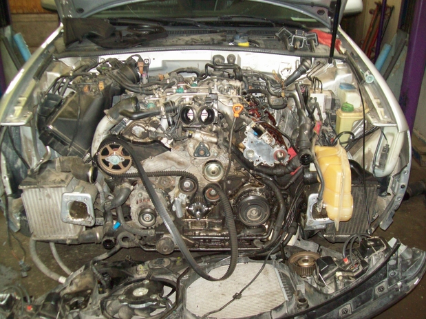Images Import Palace Auto Service