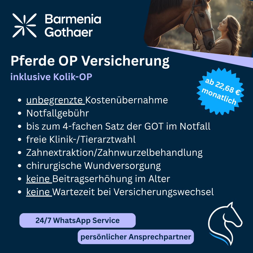 Bilder Mein Pferdeversicherer