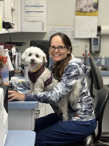 Images VCA Wingate Animal Hospital