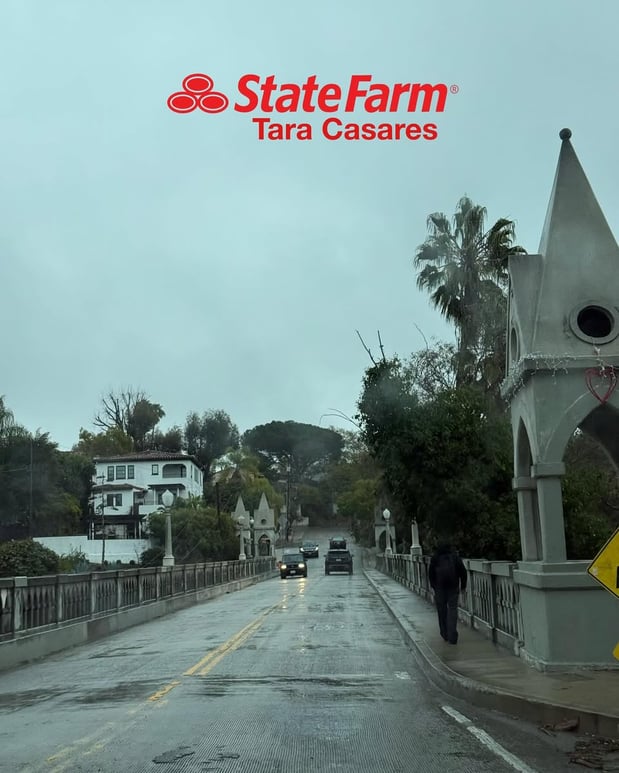 Images Tara Casares - State Farm Insurance Agent