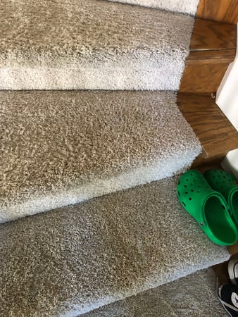 Images Carpet Pro Carpet Cleaning & Dyeing