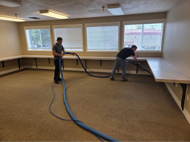 Images EcoPure Carpet Care