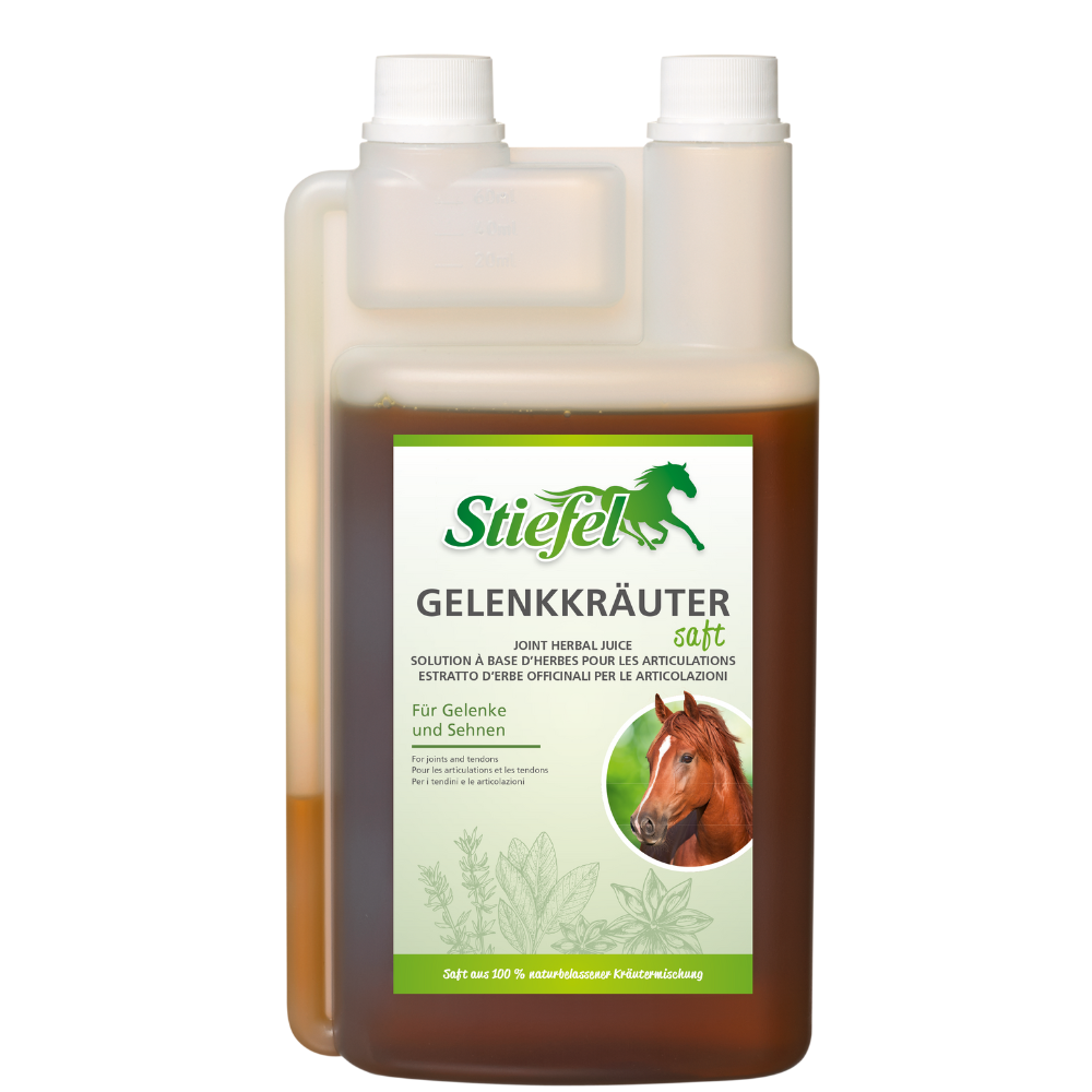 NANO Center CellCare therapie Bioresonanz Daniela Siegmund in Essen