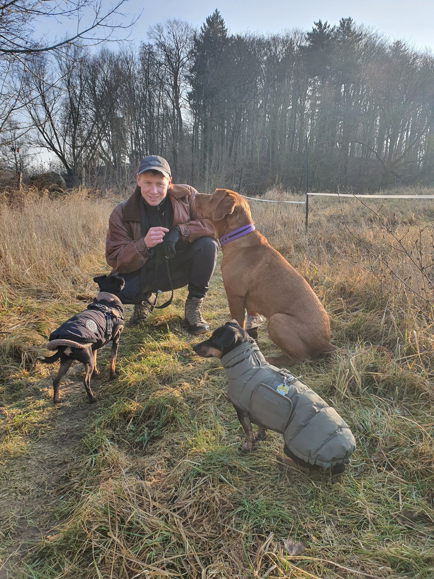 The inner leash - Dogwalking Service in Berlin