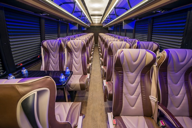 Image 7 | Platinum Coach Limousine, Inc