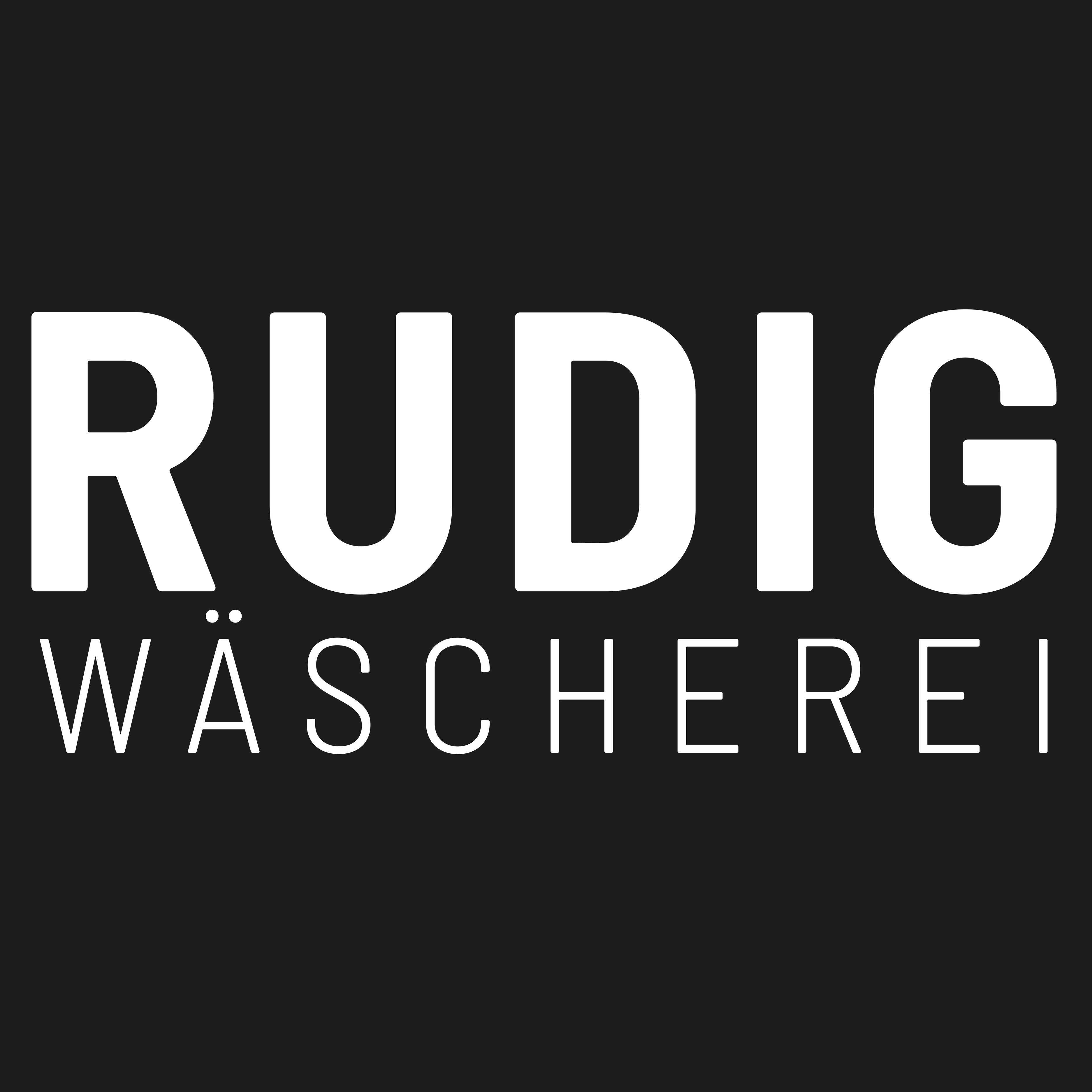 Rudig AG Wäscherei Logo