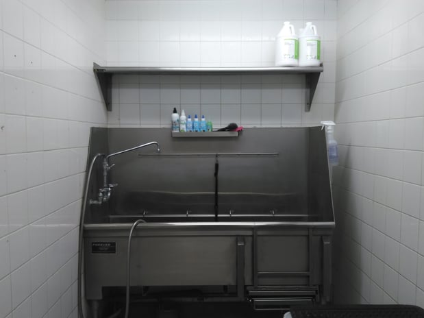 Images Petco Grooming