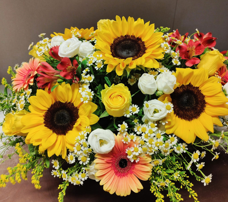 Images Monica Piante e Fiori