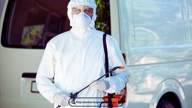 Images Pest Control Orlando