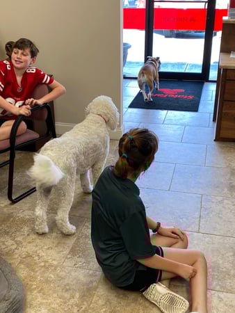 Images Chester Lewis - State Farm Insurance Agent