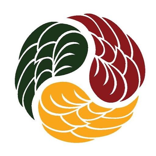 Angels for Angels Logo