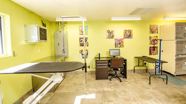 Images VCA Becker Animal Hospital and Pet Resort