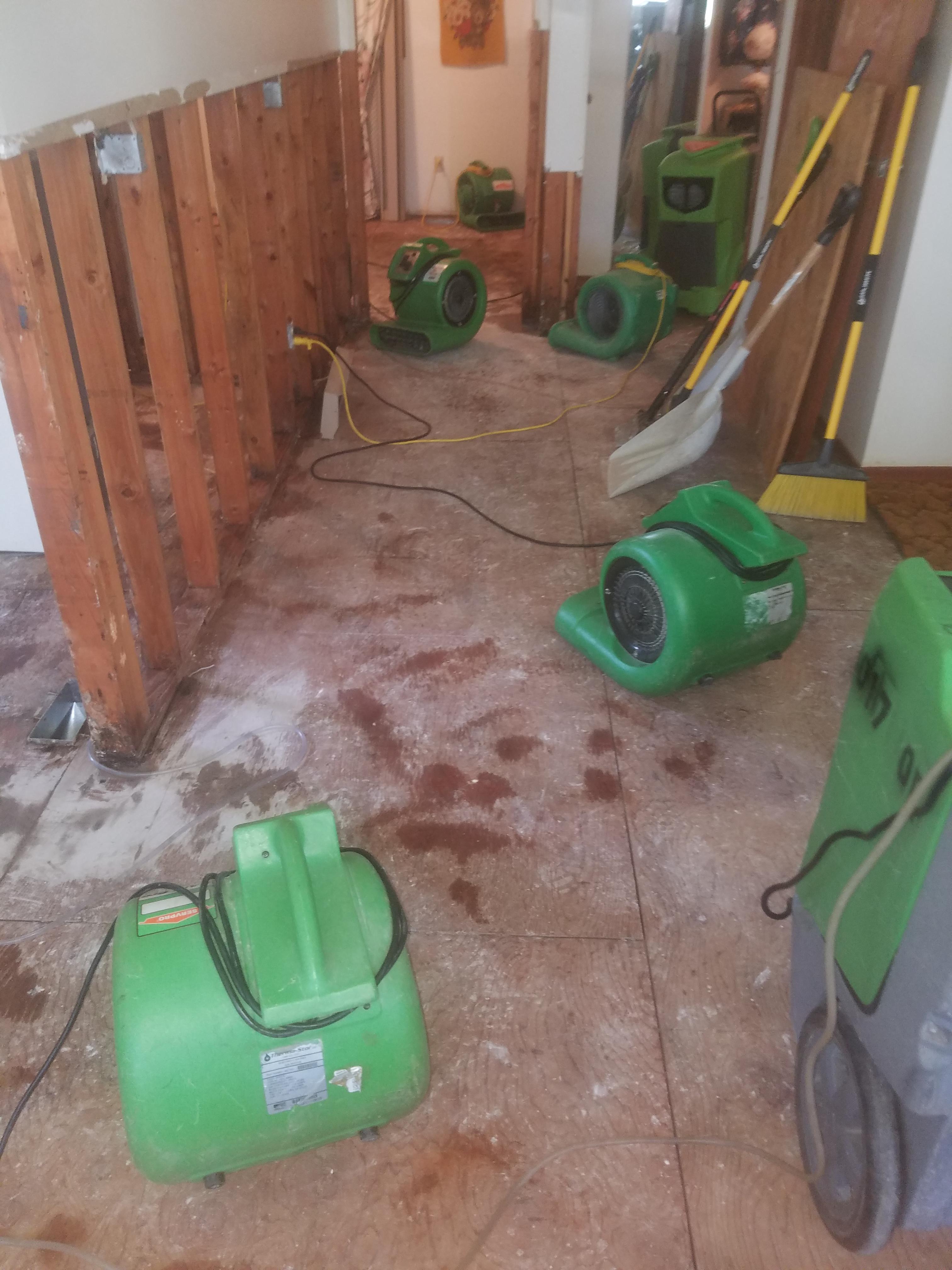 SERVPRO of West Knoxville / Farragut Photo