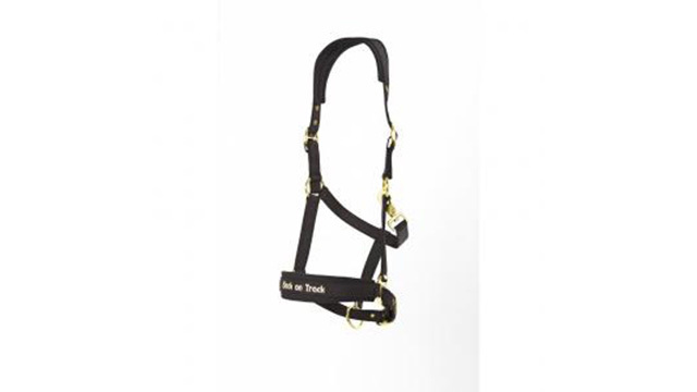 Images Dahrve Hästsport AB