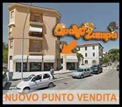 Images Qua La Zampa