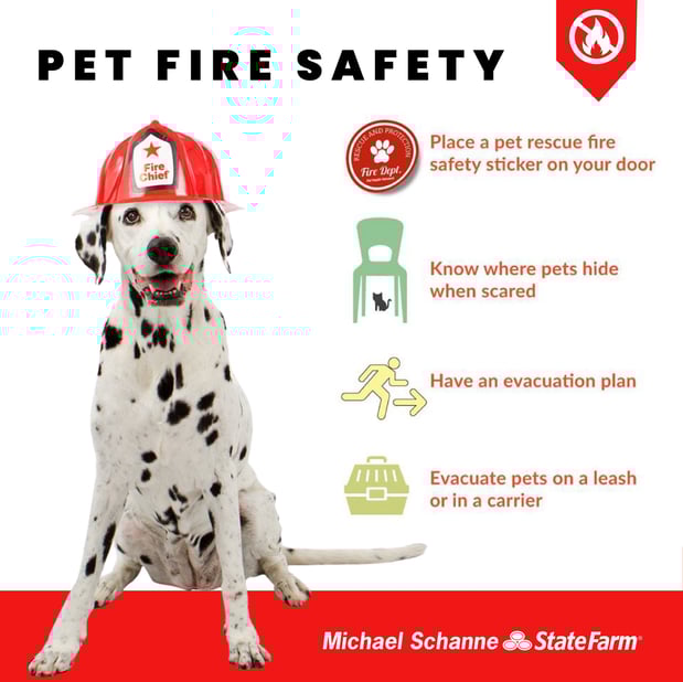 Images Michael Schanne - State Farm Insurance Agent