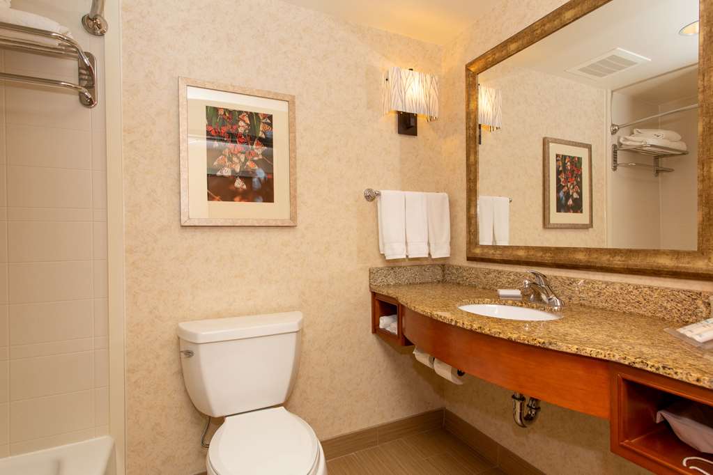 Guest room bath Hilton Garden Inn Cedar Falls Cedar Falls (319)266-6611
