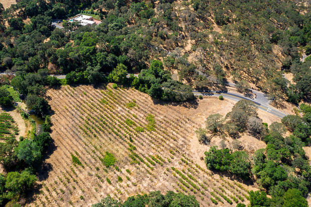 Images Jeff Goyert - Nor Cal Real Estate Services