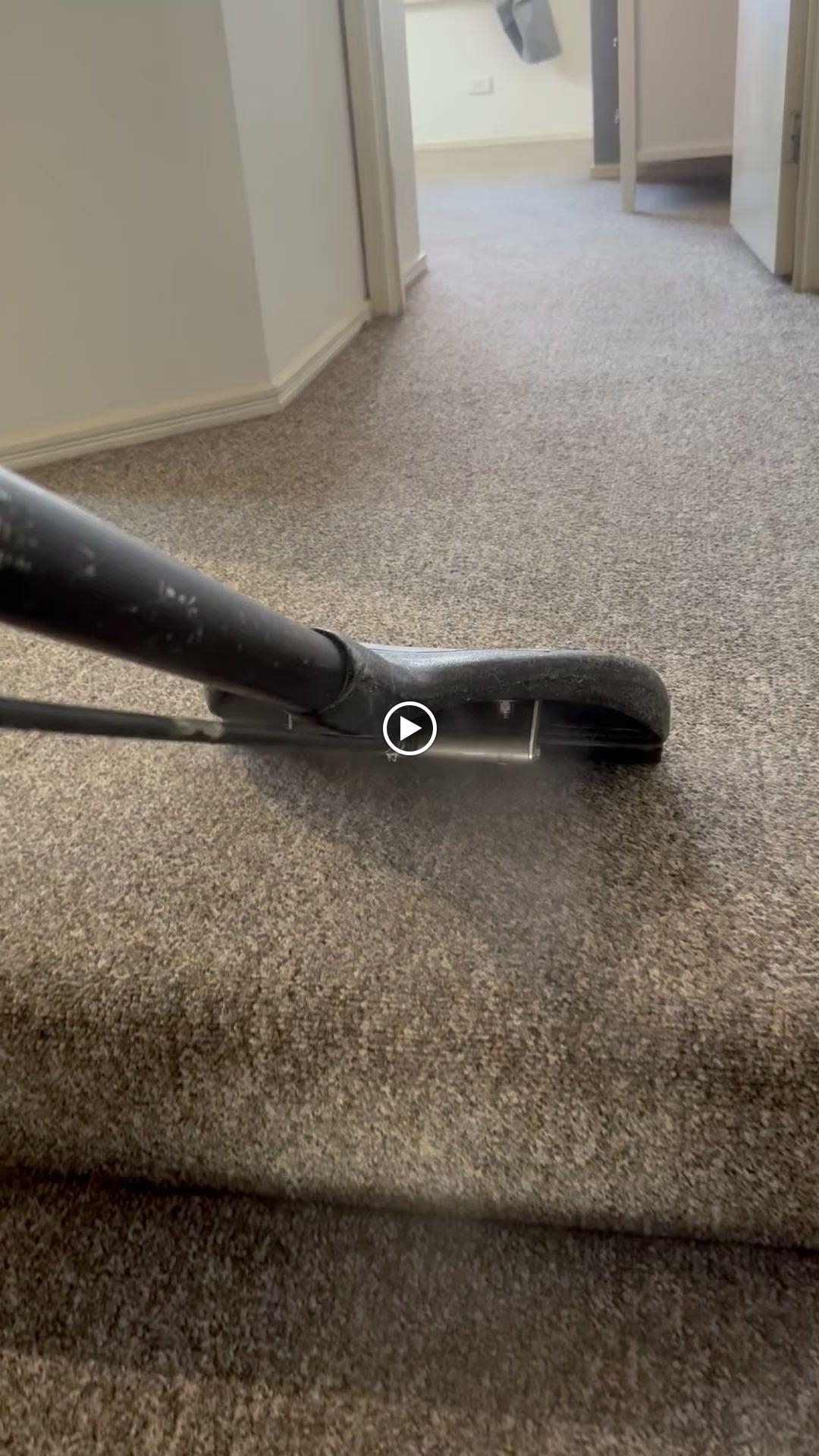 Images Eco Carpet Cleaning Gold Coast