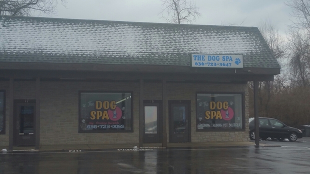 Images The Dog Spa
