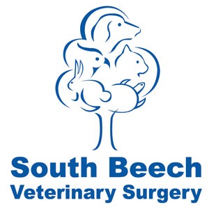 South Beech Veterinary Surgery - Wickford Logo