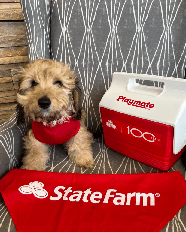 Images Clark Mantz - State Farm Insurance Agent