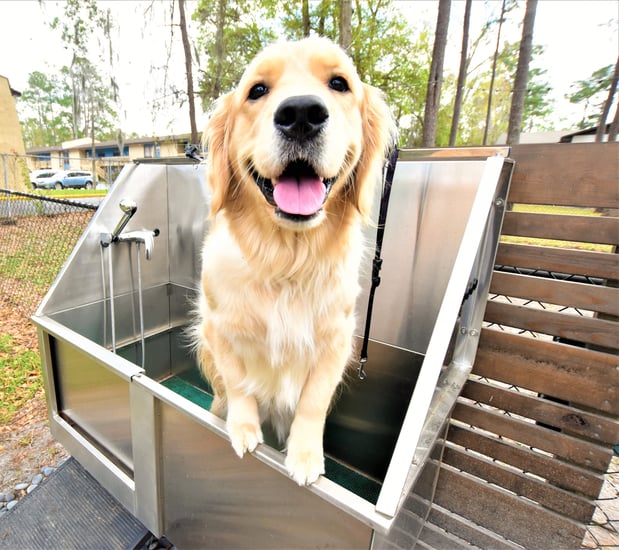 Images Silver Creek Apartments