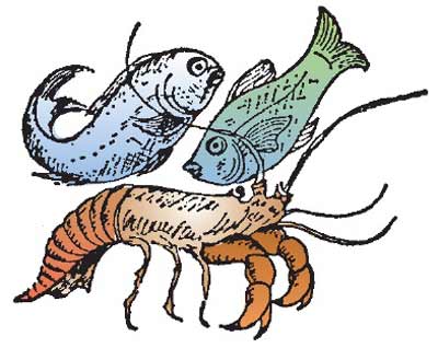 Ristorante da Miro
