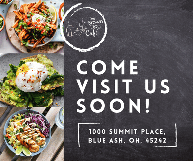 Images The Brown Dog Cafe