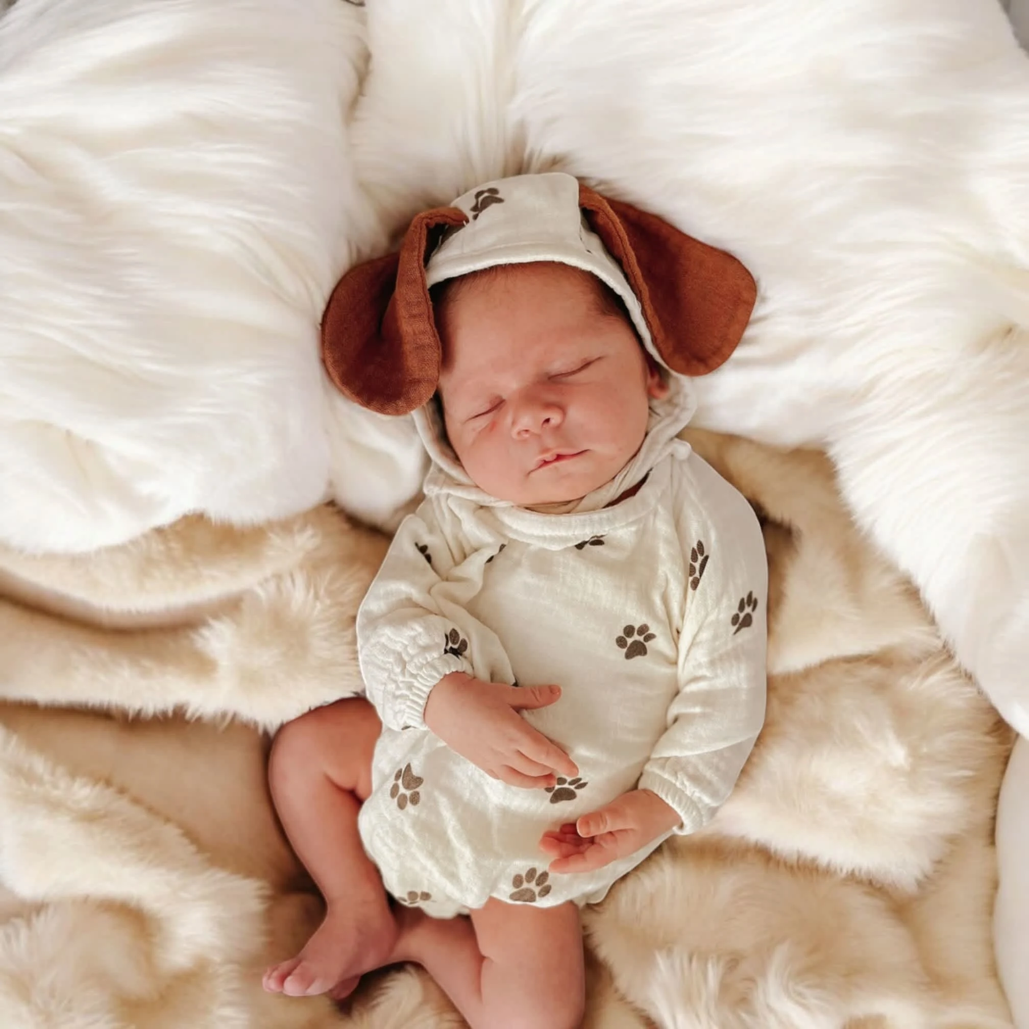 Images Chic Cuddles Ltd