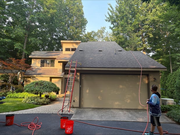 Images The Roof Cleaner