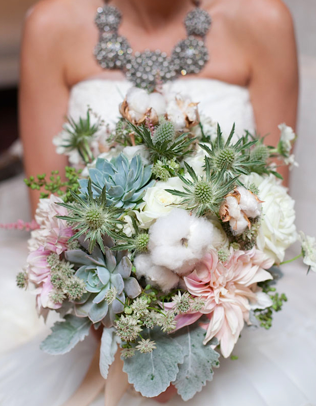 Images Rocky Mountain Wildflowers