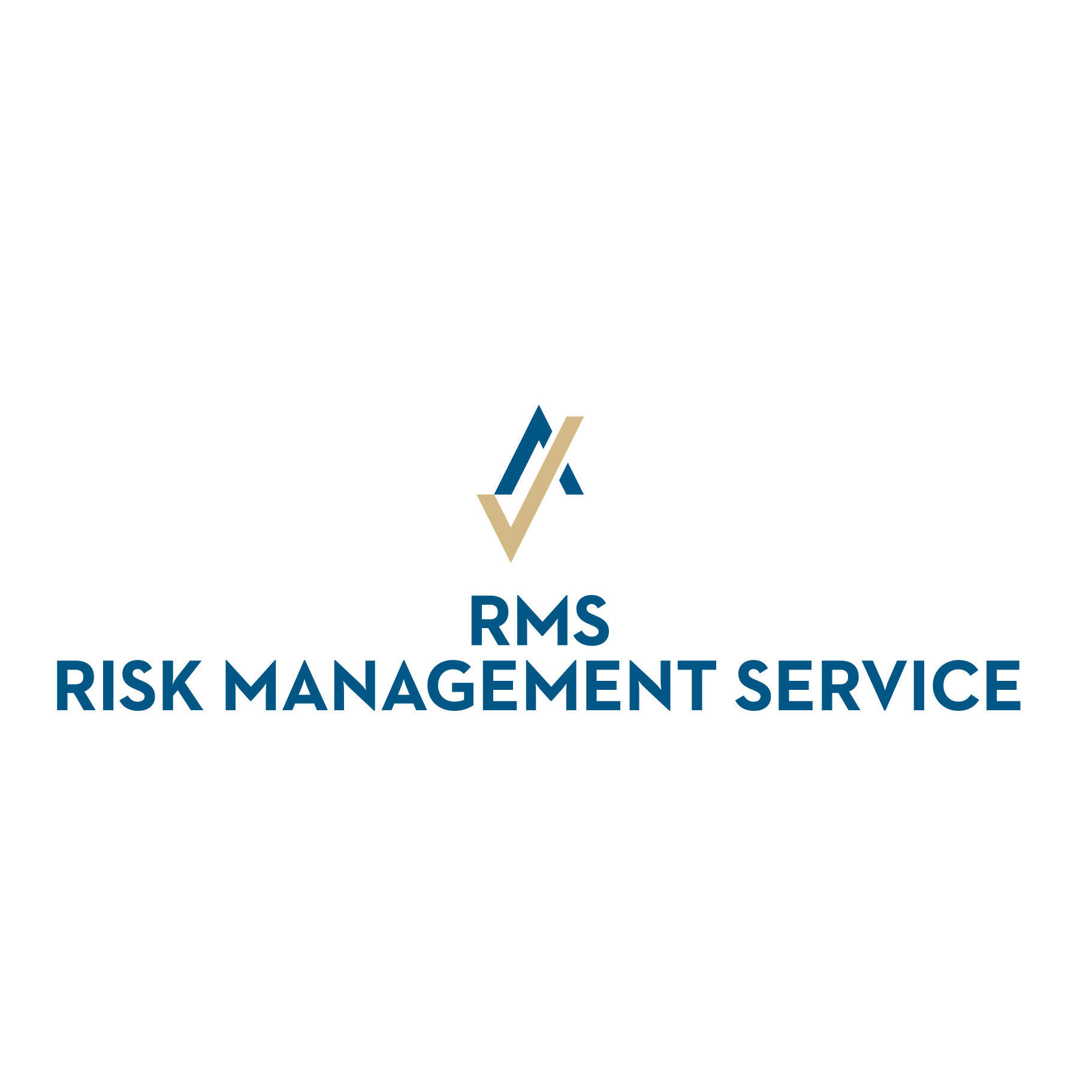 RMS Risk Management Service AG Logo