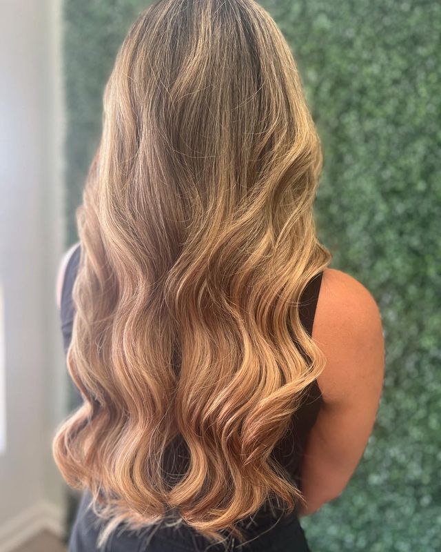 Images The Mane Attraction