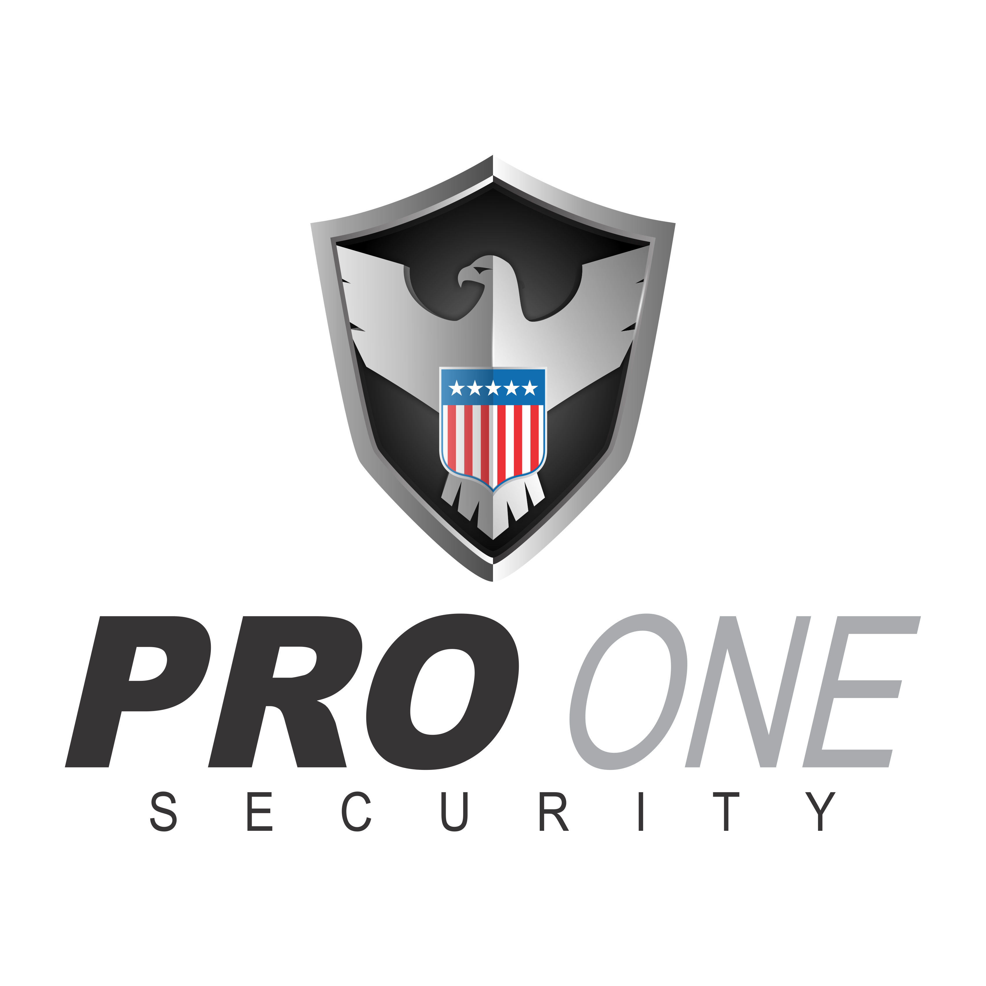 Pro One Security PLLC Photo