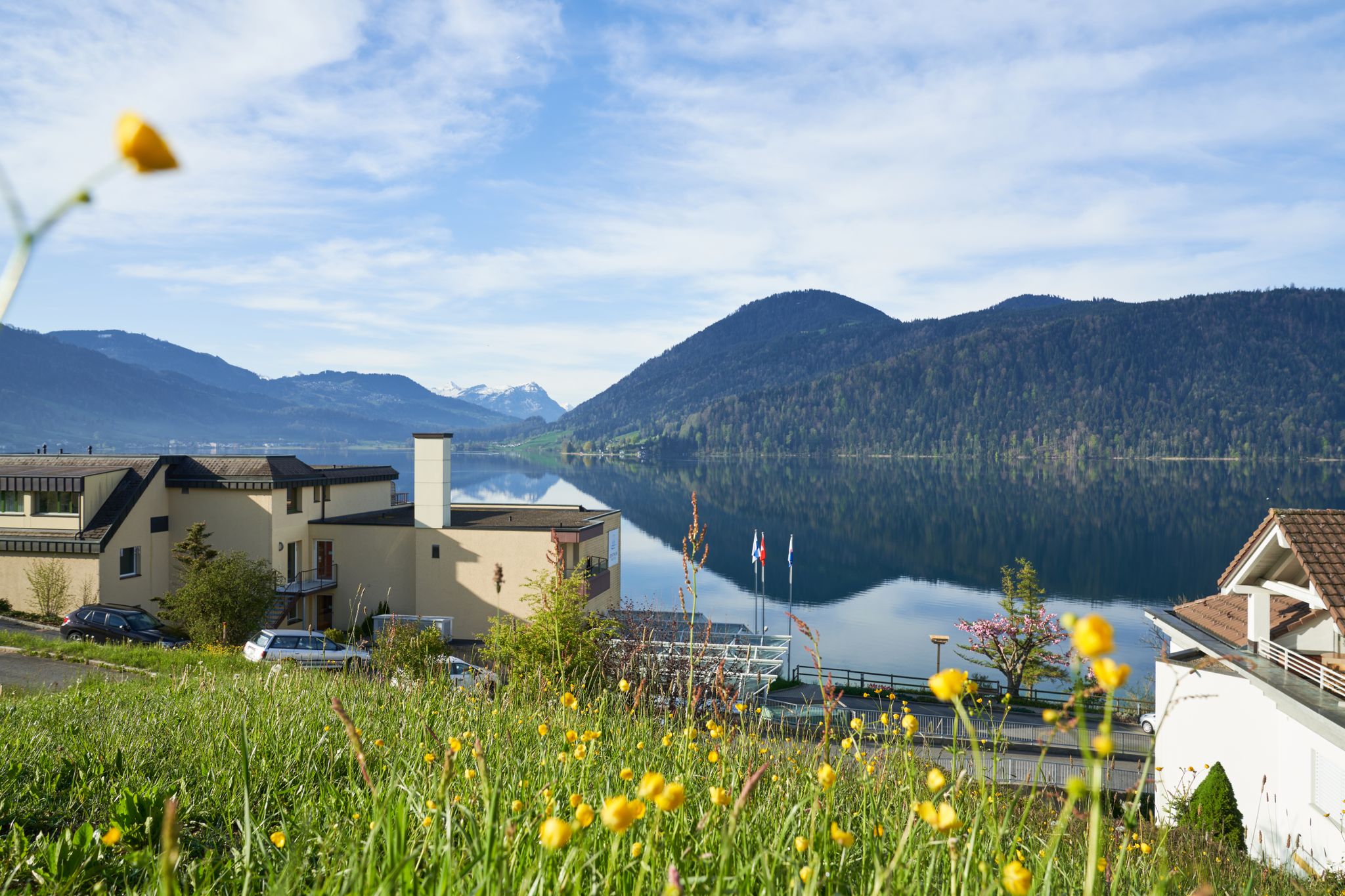 Bilder Zentrum Breiten