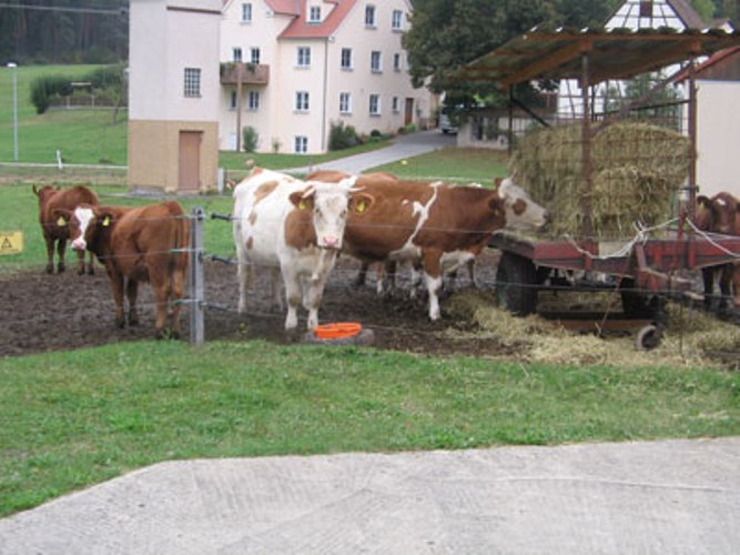 Gaststätte Wichtelhof, Wildenbergen 8a in Rohr-Wildenbergen
