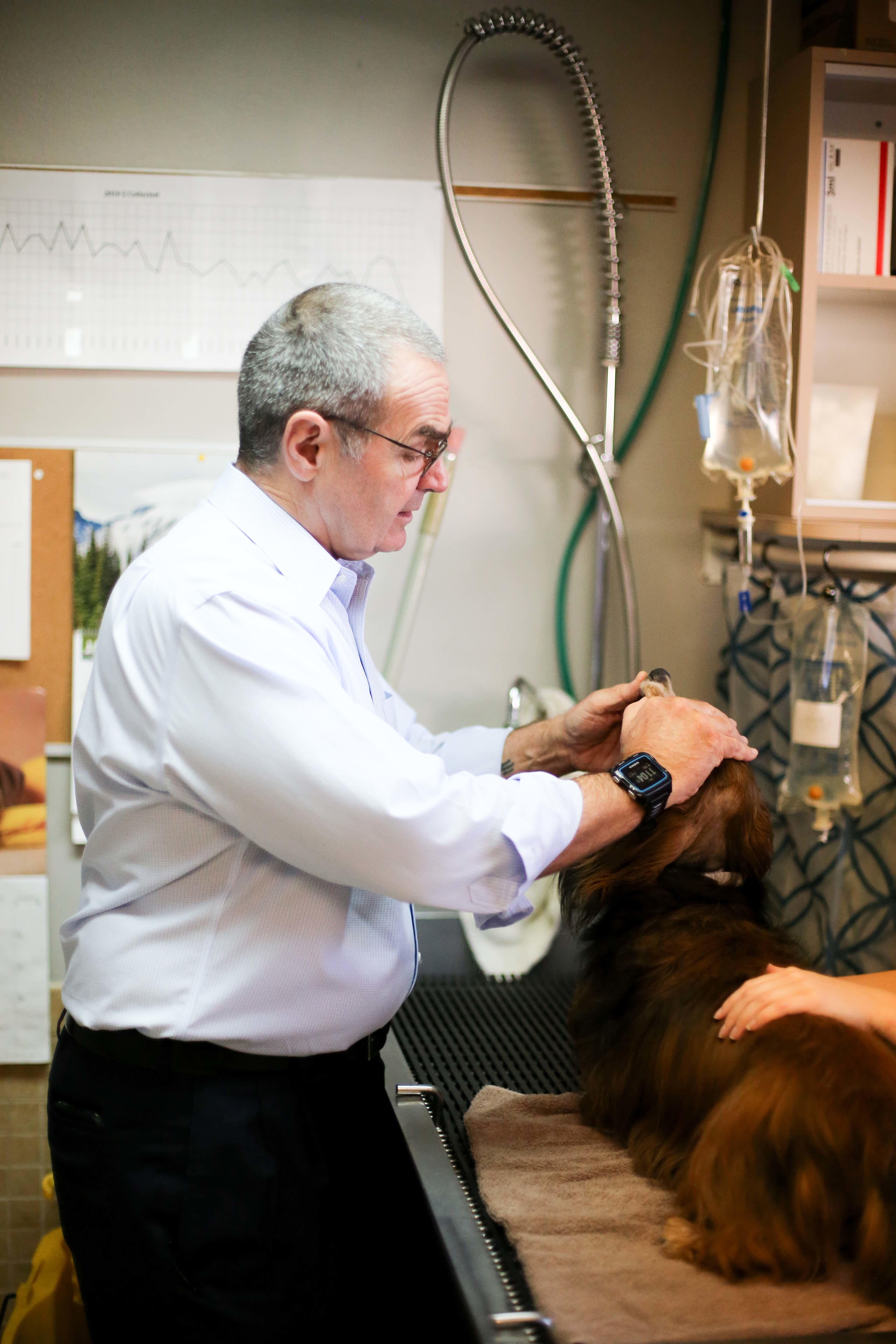 “Dr. Gregory Todd gently takes a peak at a patient’s teeth and gums for signs of dental disease (the #1 health concern in dogs and cats today!)”