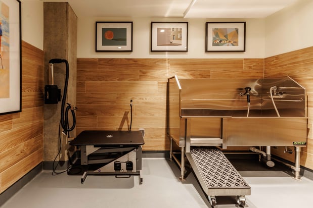 Images Modera Morrison