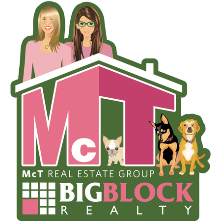 Logo of the McT Real Estate Group