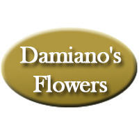 Florist in NY Amsterdam 12010 Damiano's Flowers 2 Hewitt St (518)842-6653