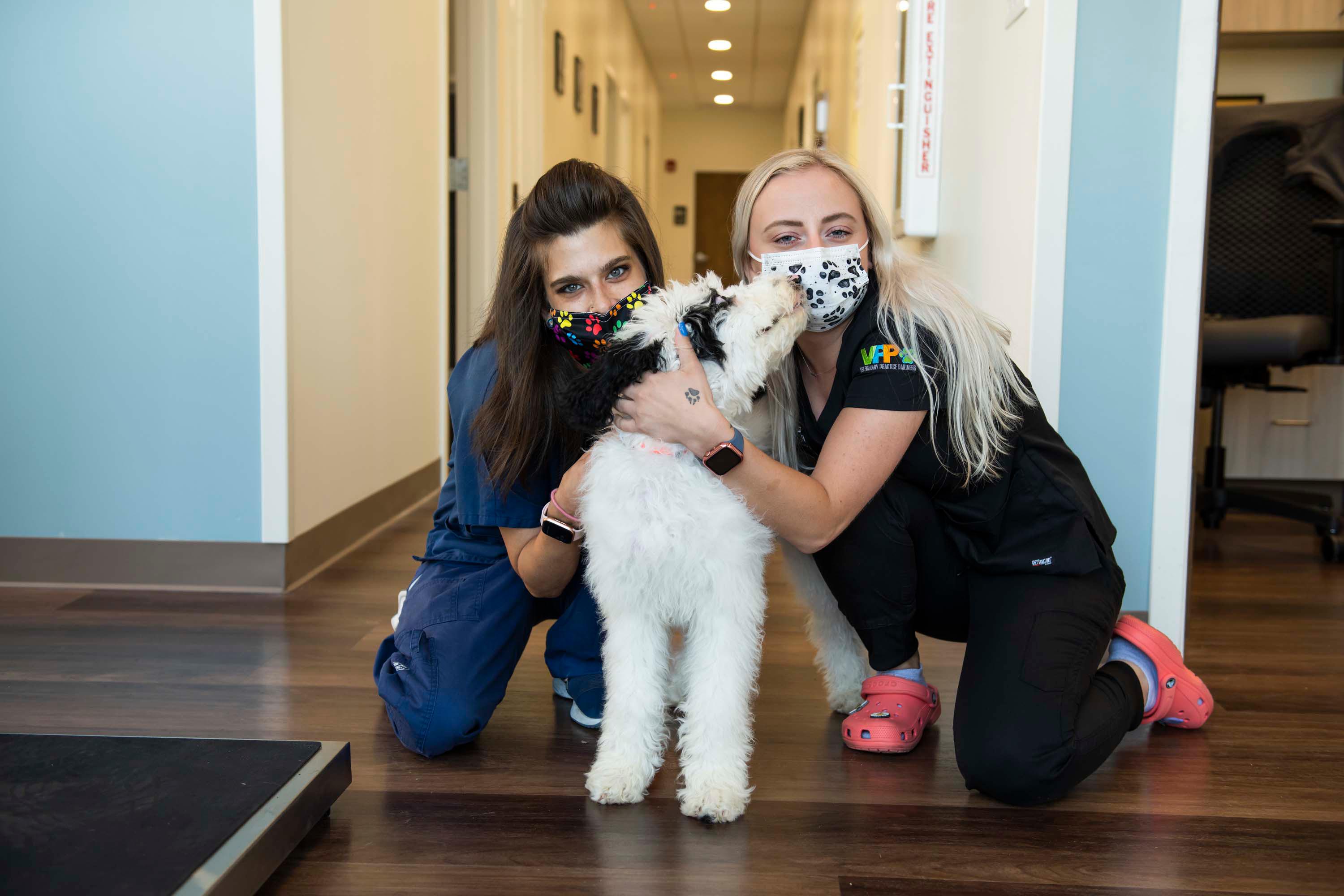 At Harvester Veterinary Hospital, you’ll find the best veterinary care in the Chicago area and the most compassionate team of veterinary experts around.
