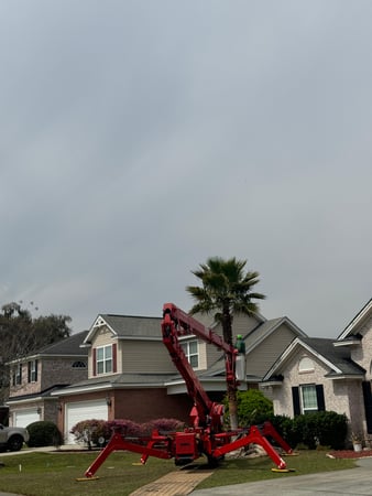 Images Magana Tree Service