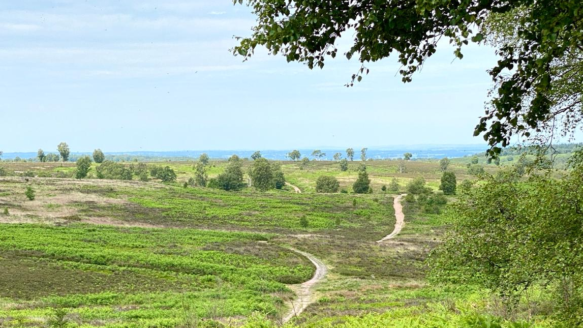 eudai-coaching, Preysingstraße 6 in München