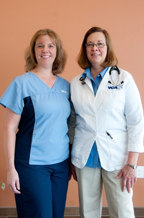 Images VCA Tri City Animal Hospital and Acacia Cat Hospital