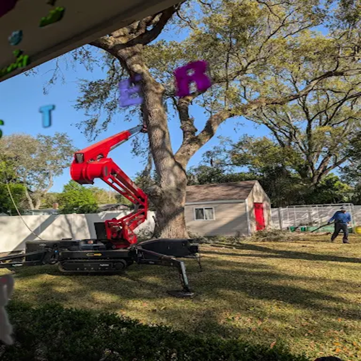 Images Odoms Beaches Tree Service